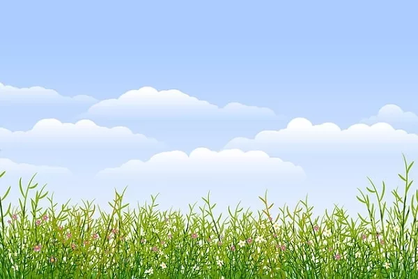 4th order of December